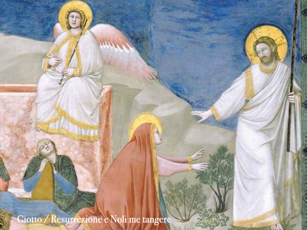 Messaggio di auguri per la Santa Pasqua della presidente Paola Sergio